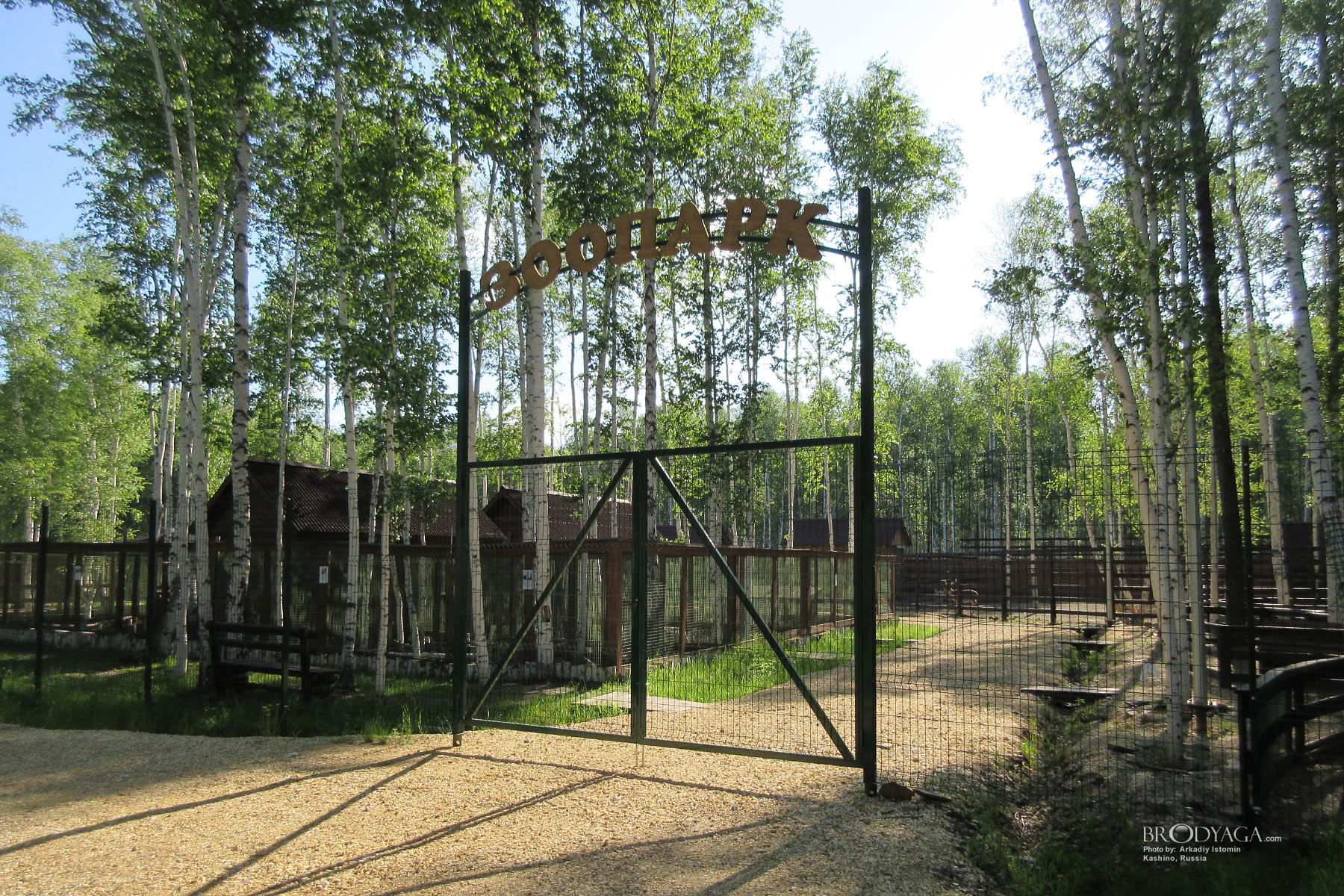 Zapovednik, Kashino (посёлок Заповедник, Кашино)
